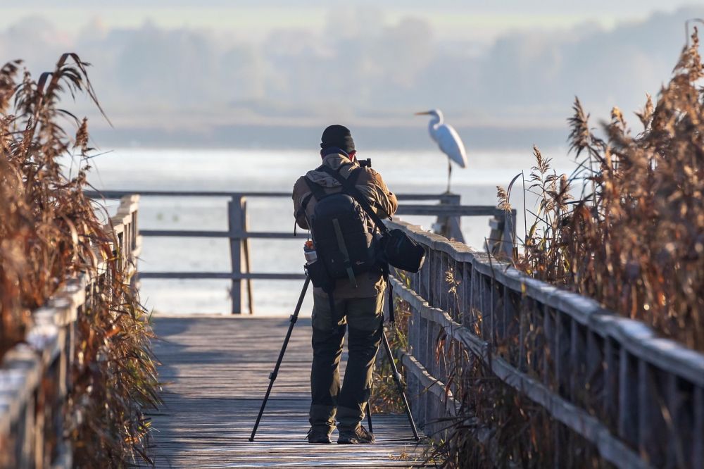 Fotografering i naturen: Fang de bedste øjeblikke